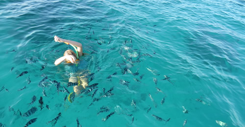 Snorkeling @ Paradise Beach